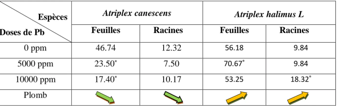 Tableau 10 : Teneur en sodium dans les feuilles et racines de l’Atriplex canescens et  Atriplex halimus 