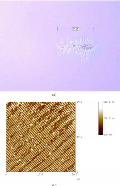 Fig. 11. Damage on sample PW01. (a) A periodic pattern perpendicular to the gratings lines is  lightly visible on the periphery of the damage