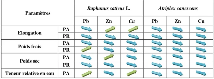 Tableau  02:  Effet  des  métaux  lourds  Pb,  Cu,  Zn  sur  les  paramètres  morpho-physiologiques  de  Raphanus sativus L