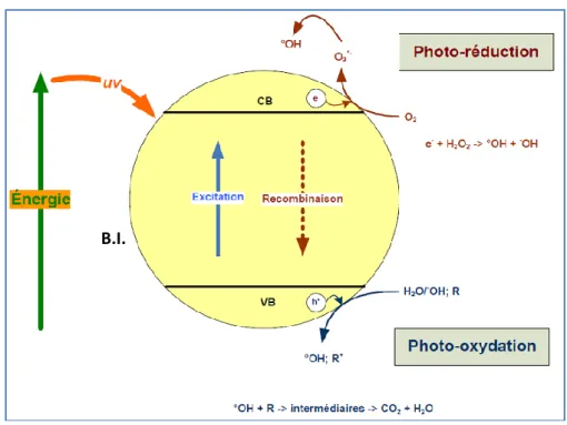 Figure IV.3 Excitation d‘une particule de semi-conducteur sous l‘effet d‘irradiation (d‘après  Fujishima et al