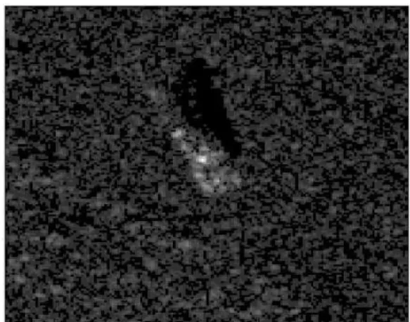 Fig. 1. SAR image of a target in the MSTAR database