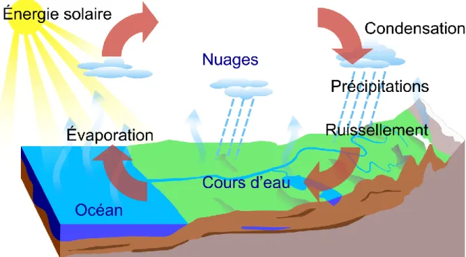 Figure 2.Sché matisation des processus intervenant  dans le cycle de l’eau. 