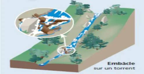 Figure 10.Inondation par rupture d’embâcle.