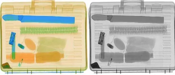 Figure 9 : amélioration de la qualité de l'image par le filtre niveaux de gris. 