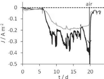 Fig. 2. CA recorded for polarized OR-biocathodes 3 (black line) and 4 (grey line) without acetate addition