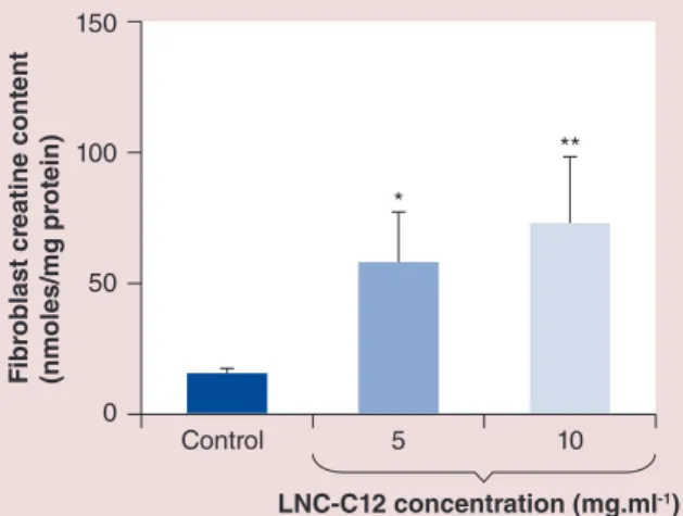 Figure 3. Significant increase of creatine content  in human fibroblasts showing SLC6A8 deficiency