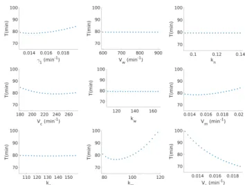 Fig. 4. Oscillations of MPF and APC:cdc20 over time.