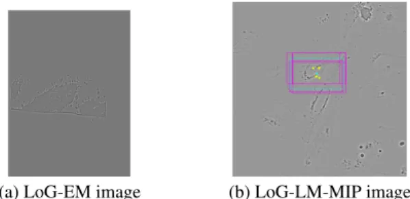 Fig. 3. ROIs extracted from multiple LoG-EM slices to be located in the LoG-LM-MIP image