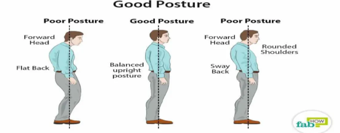 Figure 1-6. Postures of body(Matthew Ross Psychologist in self improvement)  There are two types of posture: 