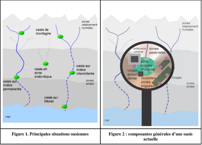 Figure 1. Principales situations oasiennes  Figure 2 : composantes générales d’une oasis  actuelle 