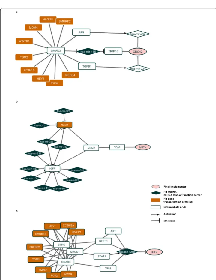 Fig. 1 Subnetworks for human muscle differentiation process. Hit genes in miRNA loss-of-function screen are in dark blue, hit genes in transcriptome profiling are in orange, final implementers are in pink, intermediate genes and proteins are in white