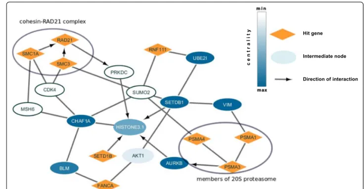 Fig. 2 Histones H3-SETDB1 subnetwork for oxidative DNA damage recognition screening. Hit genes are in orange, the intermediate proteins are in white or blue depending on the centrality score