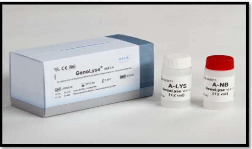 Figure 10.  Kit GenoLyse.