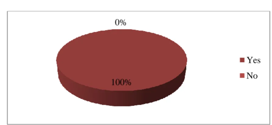 Figure  number  1  shows  that  all  the  students  of  foreign  languages  like  English  as  a  target language which were presented with the percentage of 100%