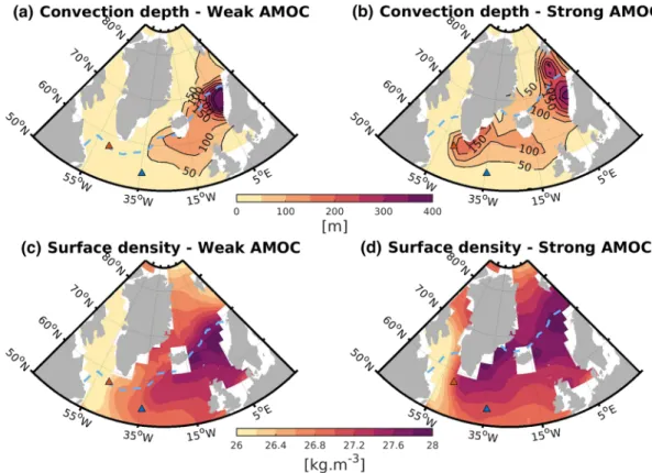 Figure 4. Convection (top panels) and neutral density (bottom panels) at the surface averaged over weak (a,c) and strong (b,d) AMOC years