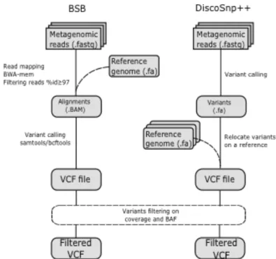 Figure 1: Workflow for BSB and DiscoSnp++ methods comparison. 