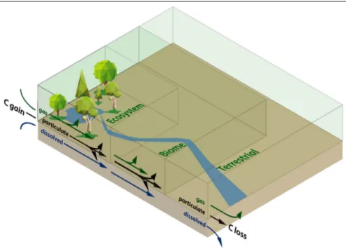 Figure 2.  Conceptual figure showing pathways of C gain and loss from ecosystem to biome to  terrestrial scales within the biosphere