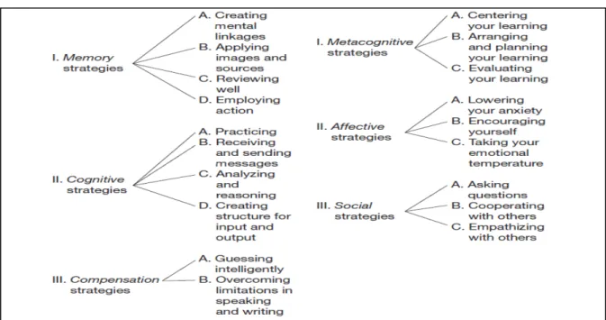 Figure 1.1: Oxford’s Strategy Taxonomy (Cited in Kumaravadivelu ,  2003, p. 136)  