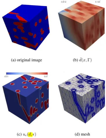Figure 9: Illustration of the results obtained for mesh adaptation directly from an image: (a) original composite image, with 200 × 200 × 220 voxels (b) computed distance function (c) computed regularized Heaviside function (d) final adapted mesh, with 50 