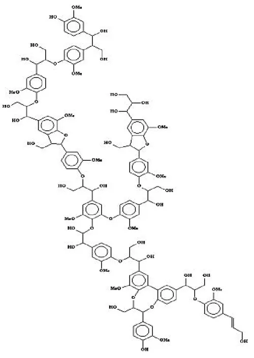 Figure 11:Exemple de structure proposée de la lignine [117]