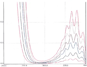 Figure IV.5. Spectres d‟absorption des étalons de nitrites à pH acide   IV.2.3 .1.b Spectres UV/Visible des solutions étalons en nitrate 