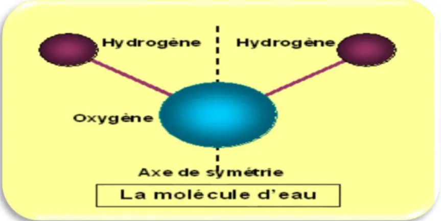 Figure n°  Ⅰ . 1 : ° structure de la molécule d’eau . 