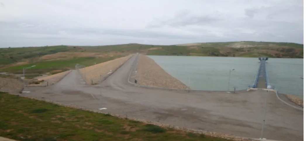 Tableau  5 :  Capacités  des petits barrages de la wilaya de Mostaganem en  2017  (Direction  de  l’hydraulique Mostaganem) 