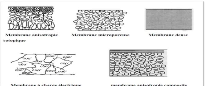 Figure II. 4. Description des différents types de membrane. 