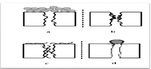 Figure II - 6. Différentes formes de colmatage (a)-  formation d’un gâteau, (b) - bouchage des  pores, (c)- adsorption, (d)- blocage des pores