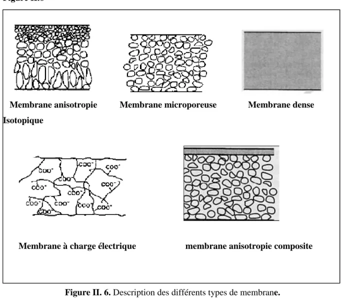 Figure II. 6. Description des différents types de membrane. 