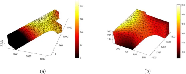 Figure 8: Registration of thermal field in 3D mesh (digital level) (a) on calibration mesh, (b) on another (finer) mesh