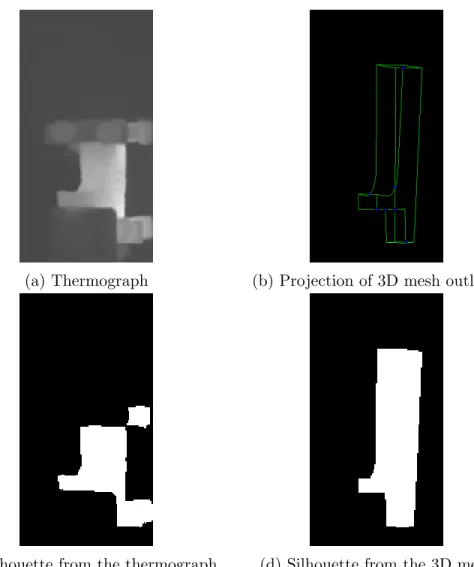 Figure 3: Silhouettes of the sample are derived from either the thermograph (a) or a 3D mesh (b)