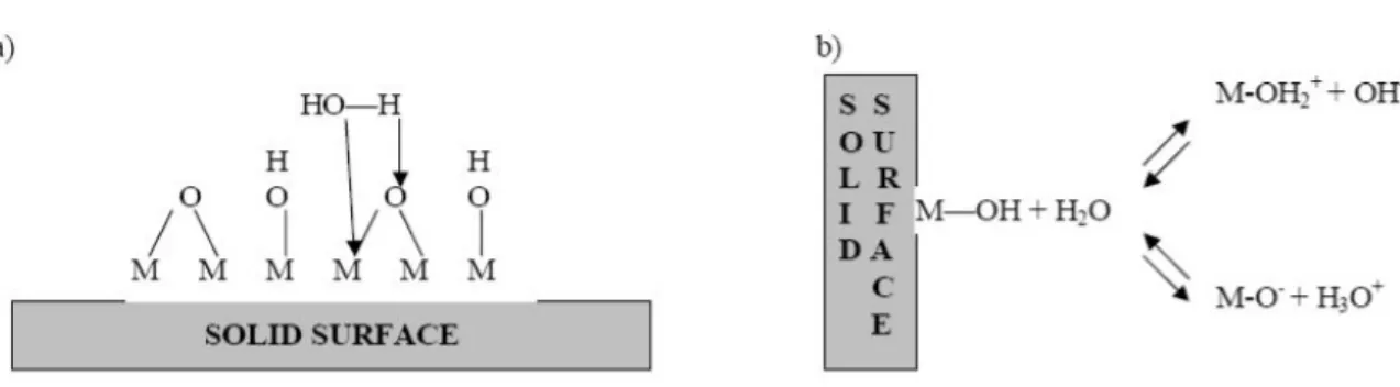 Figure II -5.  Mécanisme de formation  chargée extérieure. a) Formation de complexe d'Aquo