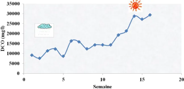 Figure III-3. Evolution de la DCO du lixiviat sortant du casier en fonction du temps La demande chimique en oxygène du lixiviat sortant du casier est très variable et loin d’être stable