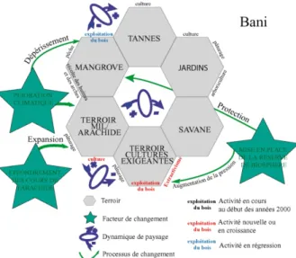 Figure 4 : Schéma systémique d’évolution du système  rural et des paysages – Bani (Sénégal) 