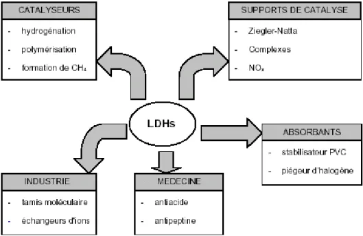 Figure I-4 : Différents domaines d’applications des HDL. 