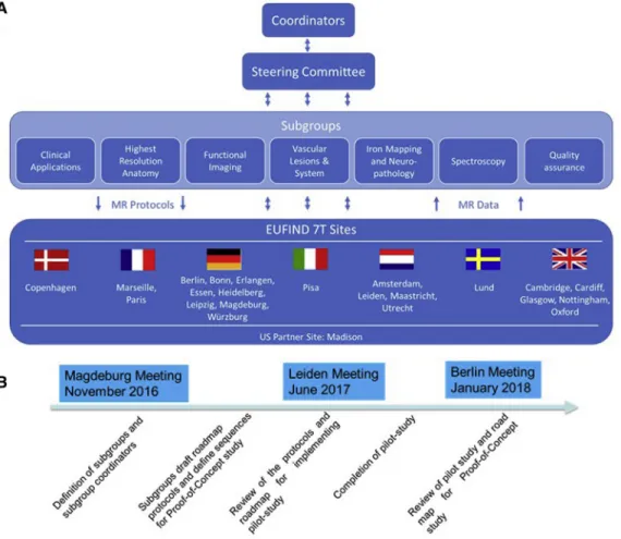 Fig. 1. (A) Structure of EUFIND. (B) Timeline of EUFIND working group meetings and milestones