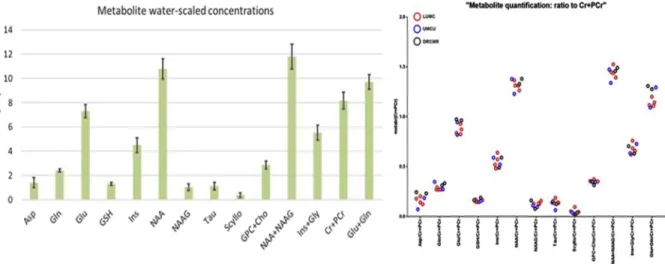 Fig. 7. Left: average and standard deviations of metabolite concentrations acquired at the three 7T MR scanners; right: scatter plot of all individual data (8 subjects) presented as ratios to total creatine.