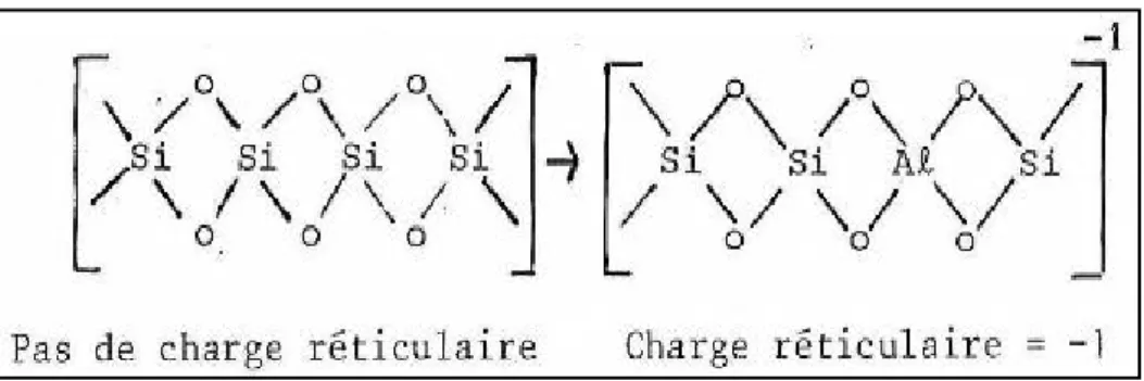 Figure I.4. La substitution et l’apparition d’une charge réticulaire sur un feuillet silicieux (Cuisset, 1980)