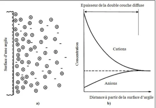 Figure I.16. (a) La structure de la double couche diffuse adjacente à la surface des particules argileuses
