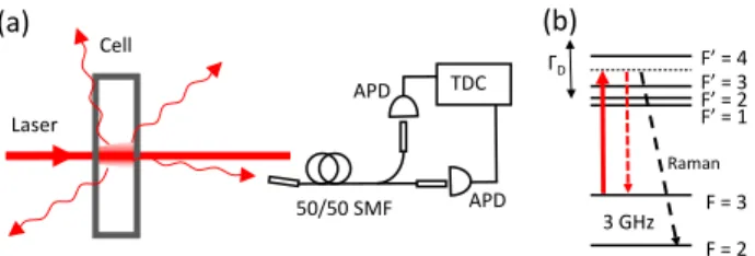 Figure 1. (a) Experimental setup. Light scattered in the ru- ru-bidium cell is collected using a bare single mode fiber (SMF) and split with a 50/50 fiber beam splitter (BS)