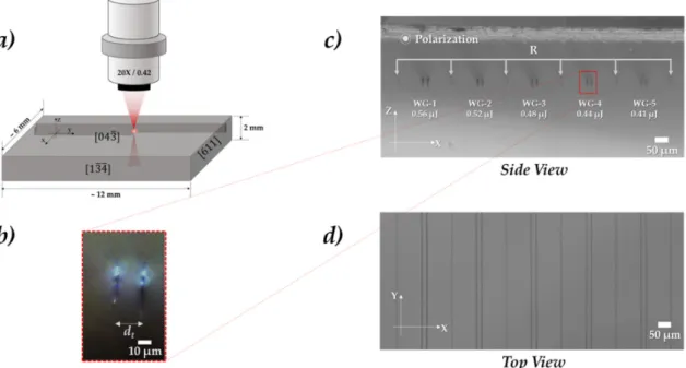 Figure 1. (a)  Waveguide fabrication schematic of DLW process. (b) Dark-field (DF) microscope image of a  waveguide inscribed with a 0.44 μJ pulse energy