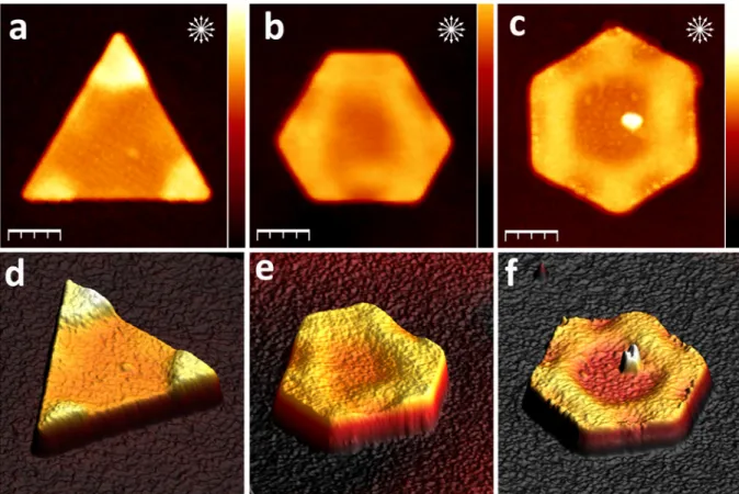 Figure 3.  (a-c)  AFM images of (a)  triangular,  (b)  truncated triangular and (c)  hexagonal  Au prisms after a series of  irradiation with a tightly focused 800 nm laser beam