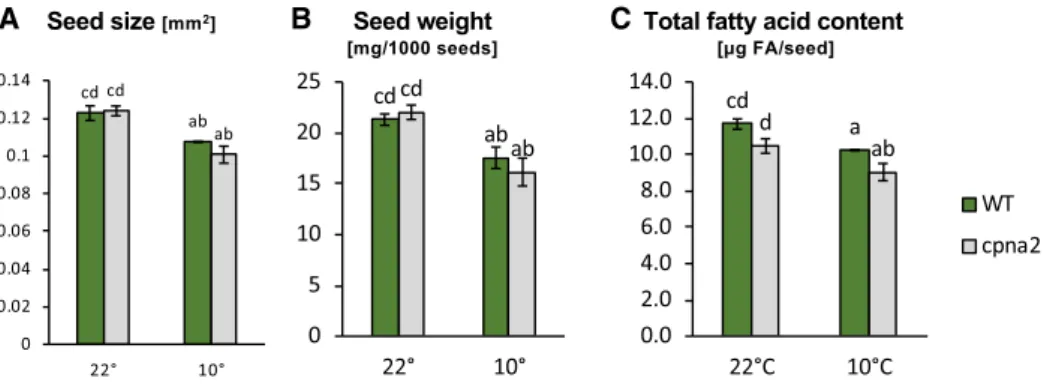 Figure 4. Effect of cold during seed development on wild-type (WT) and cpna2-4 seed size, weight, and lipid content