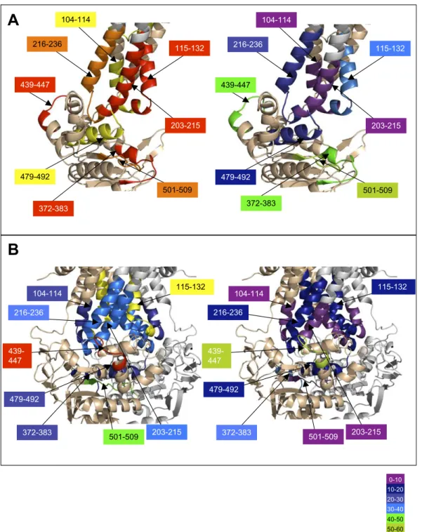 Fig. S7. Comparison of deuterium incorporation and solvent accessibility areas in both conformations of BmrA, open (A) or closed (B)