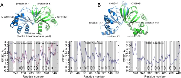 Fig. 3 Backbone fluctuations as a function of the residue number. (a) MlotiK1 CNBD homodimer