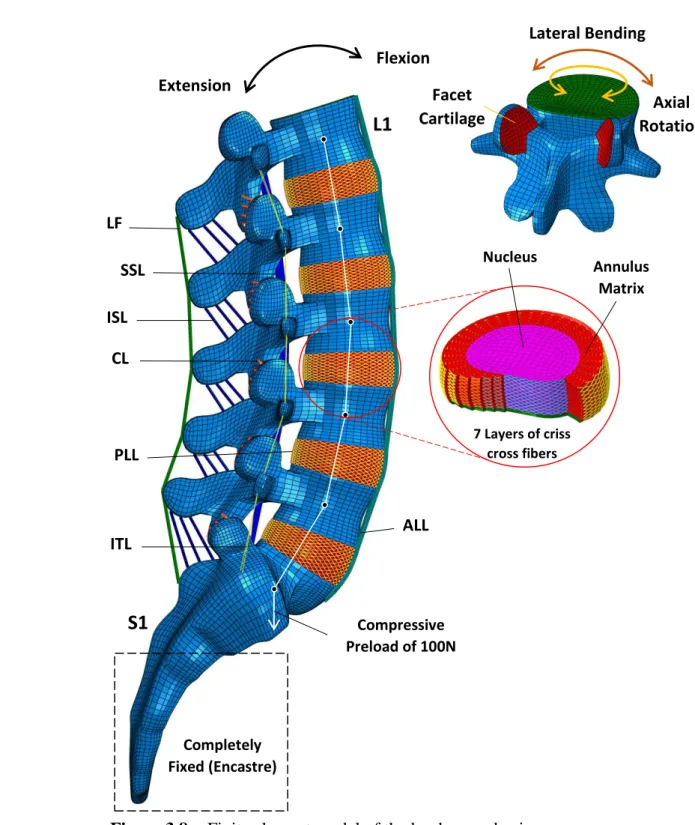 Figure 3.8:   Finite element model of the lumbosacral spine 3.5 Finite Element Model Formulation Workflow chart 