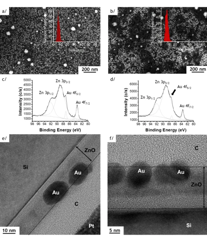 Figure 1. SEM images of Au NPs deposited on 25 nm thick ZnO film by photo-deposition 