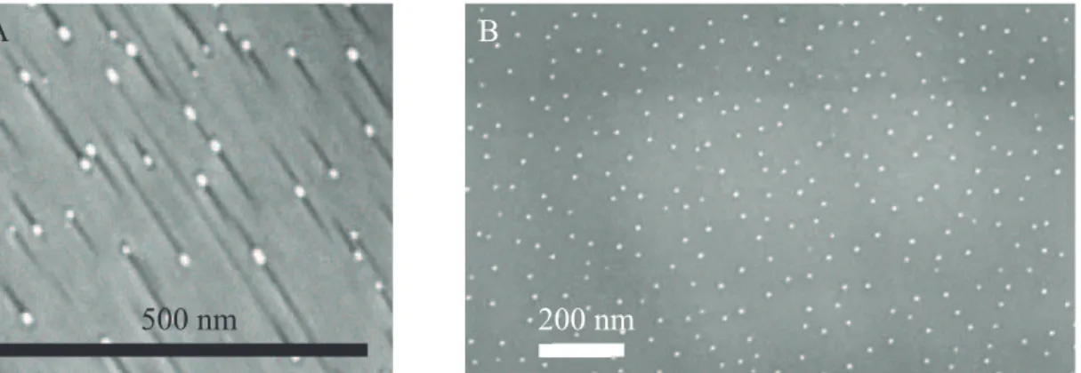 Fig 1 SEM images of 30nm ZnSe buffer layer with a 0.1 nm thick Au layer heated (A) at 530°C and (B) at  500°C 