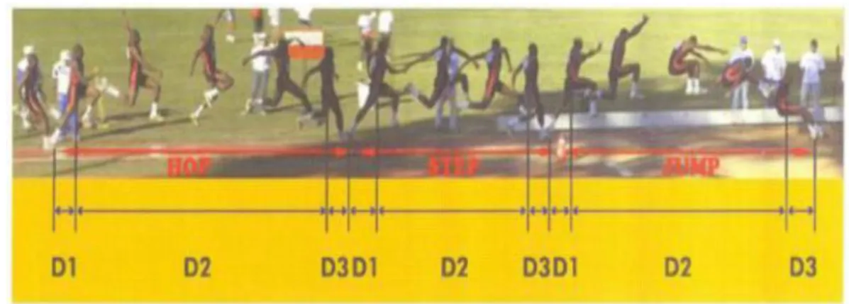Figure 1. The method chosen to calculate the variables in two-dimensional analysis  (Nelia Alfano Moura, Tania Fernandes de Paula Moura, Joao Paulo Borin, 2003) 